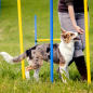 Preview: Agility-Hundetraining-Slalomstangen - 6 Stangen