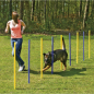 Preview: Agility-Hundetraining-Slalomstangen - 6 Stangen