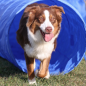 Preview: Hundesport Tunnel 5M mit Tragetasche