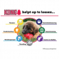 Preview: KONG Puppy