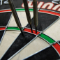 Preview: Dartboard Winmau Pro SFB