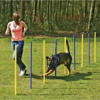 Agility-Hundetraining-Slalomstangen - 6 Stangen