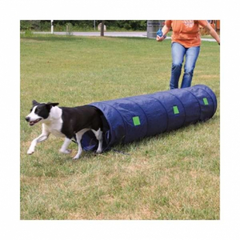 Hunde-Agility-Tunnel für kleine Hunde und Welpen