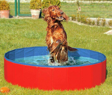 Karlie DOGGY POOL der Swimmingpool für Hunde - Rot-Blau - versch. Größen