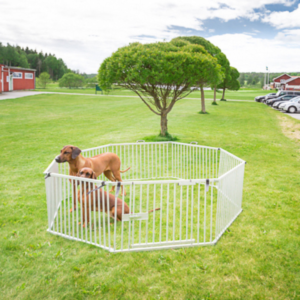 Welpenauslauf Aluminium mittelgroße Hunde