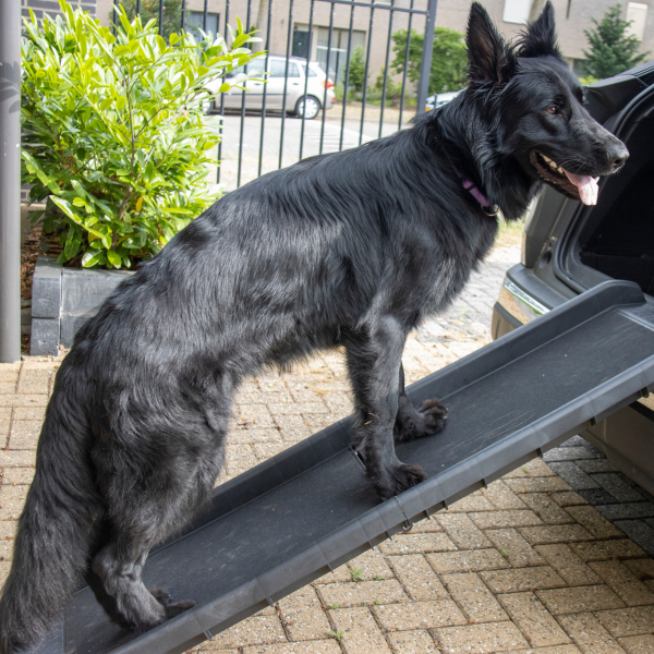 Hundeautoleiter Kunststoff bis 90 kg