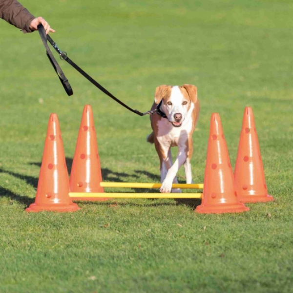 Agility Hindernis Pylonen 2er Set Konzentration