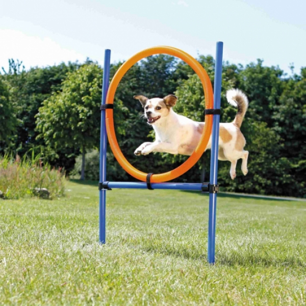 Hunde Agility Ring - Parcours-höhenverstellbar