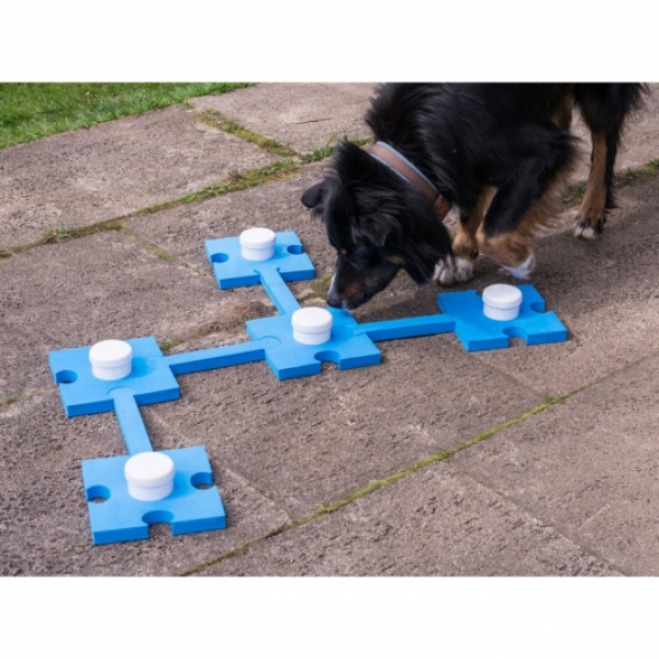 Hundetraining - Hundeschnüffelspass in blau